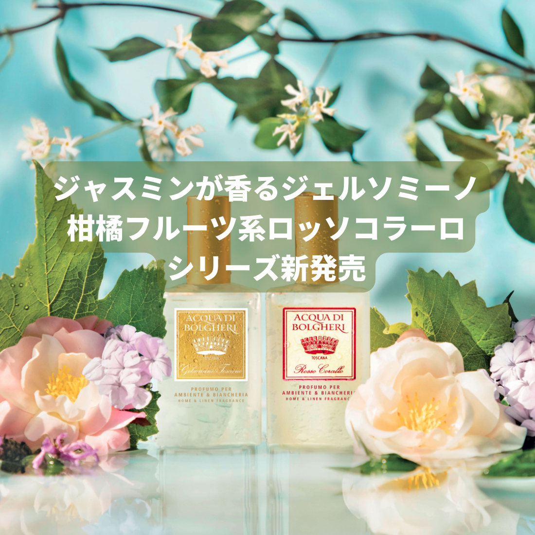 2種類の新しい香りシリーズ新発売記念SALE(10月5日まで)(終了しました)
