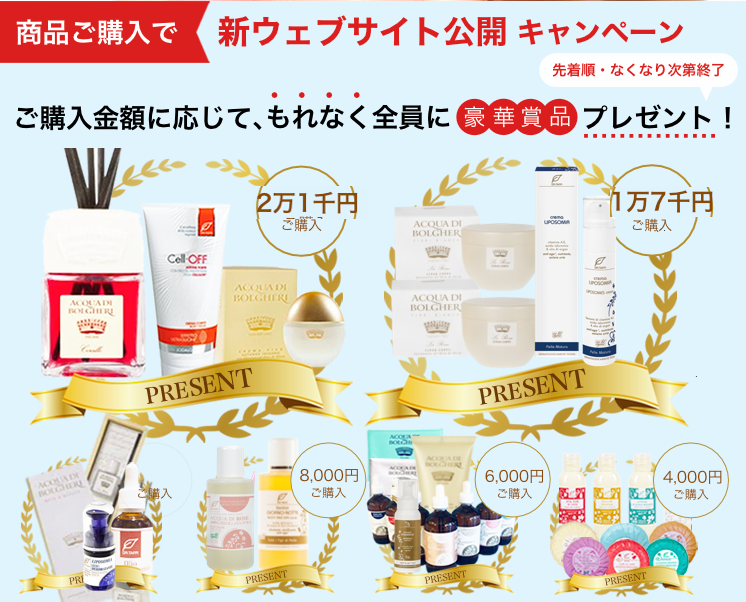 新WEB STORE 公開特別キャンペーン 第6弾!(終了しました)