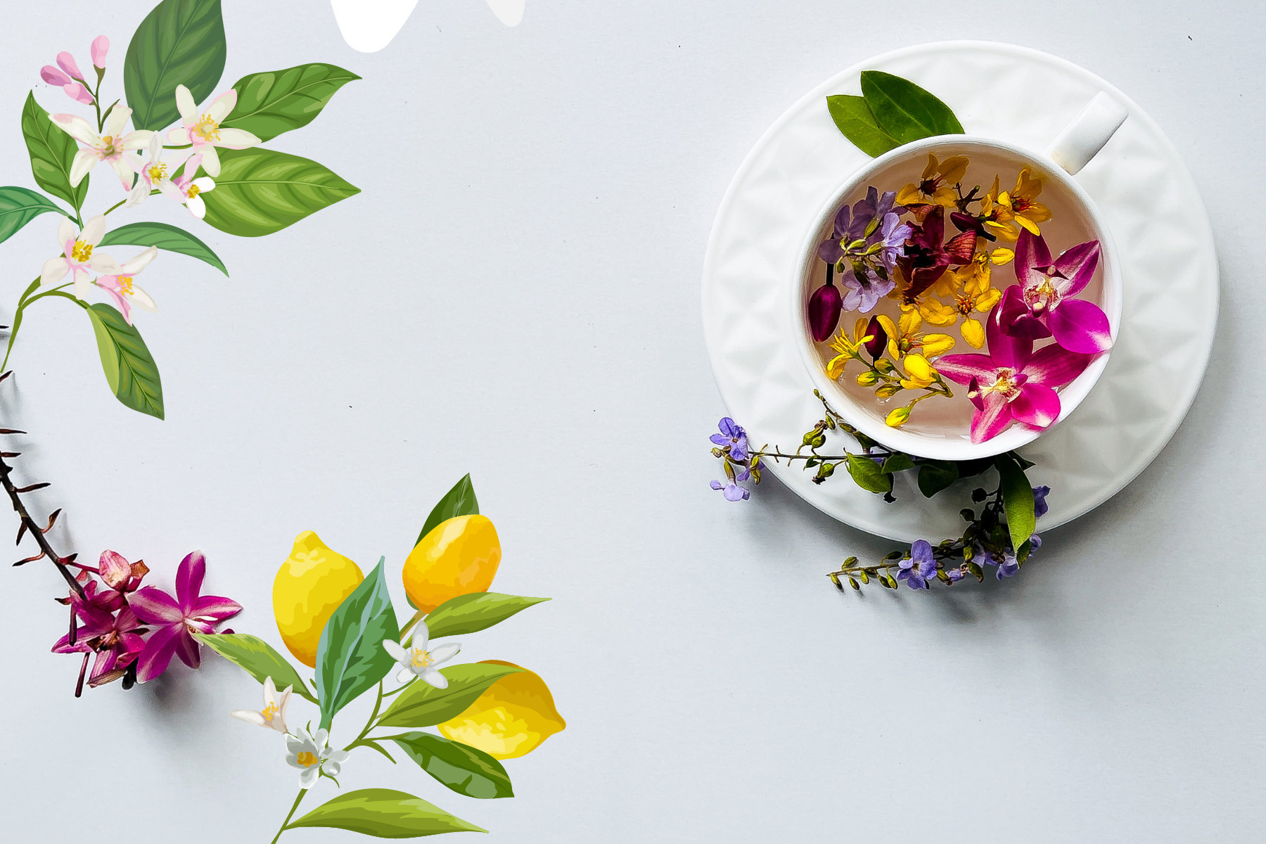 フラックスホワイトティ（LINO TE BIANCO) – DR.TAFFI JAPAN WEB STORE