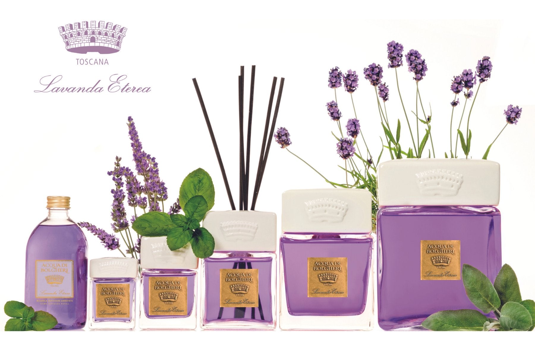 DR.TAFFI （ドクタータッフィ）　新品未開封ほか DR.TAFFI JAPAN 公式WEB STORE – DR.TAFFI JAPAN WEB STORE