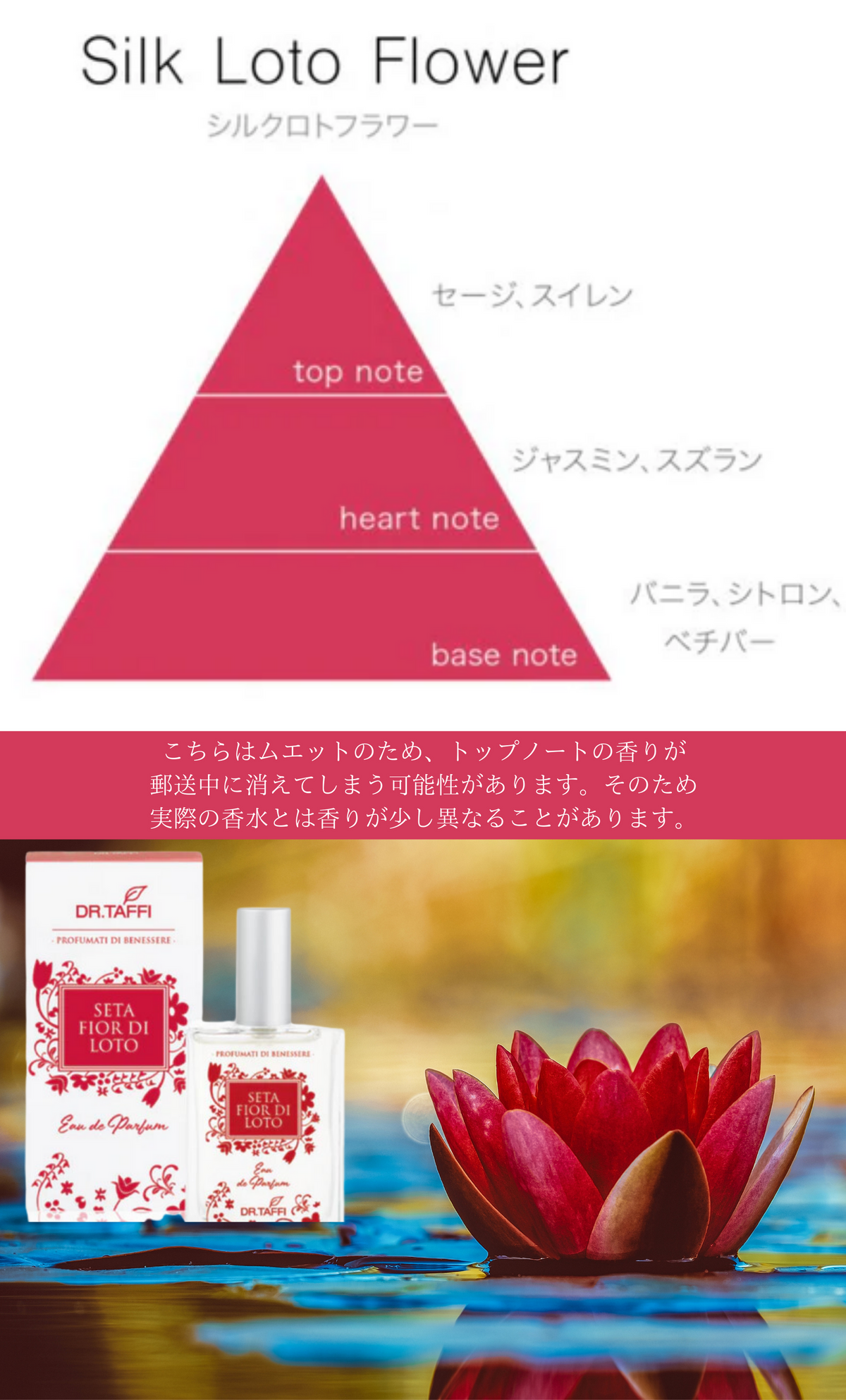 LUCE〜限定ムエットセット(送料無料)