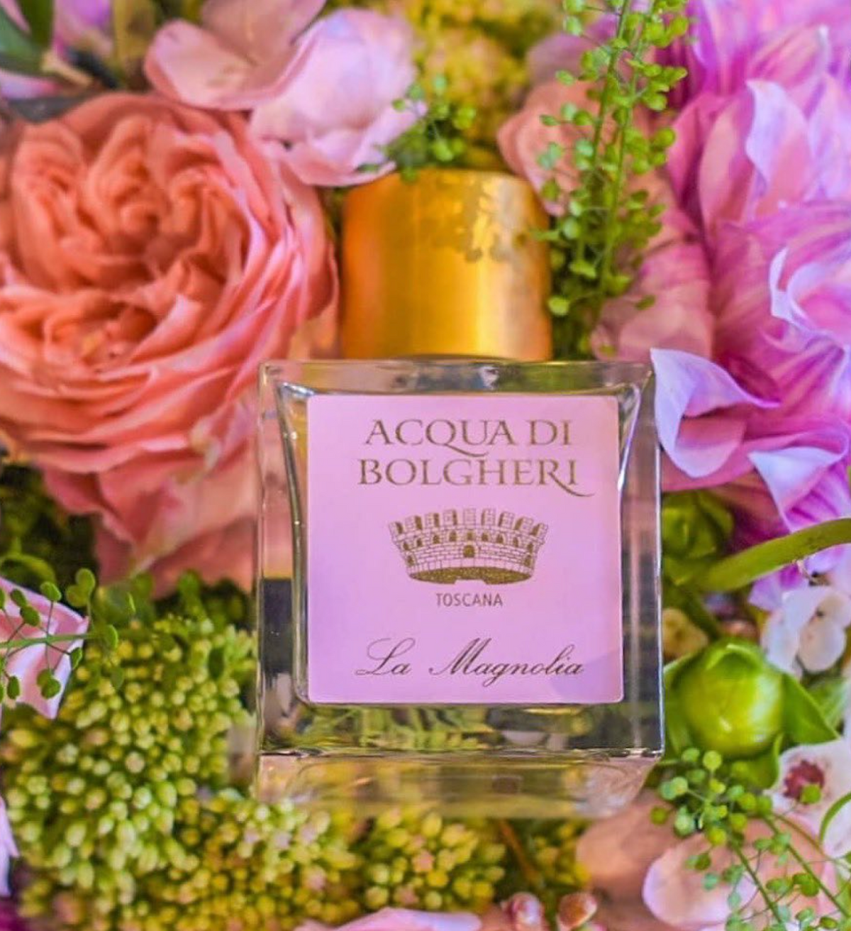 アクアディボルゲリ マグノリア パフューム 50ml(アウトレット)