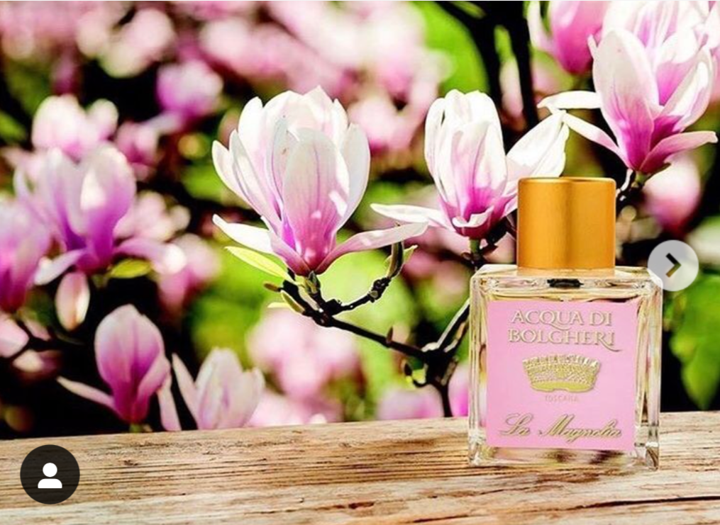 アクアディボルゲリ マグノリア パフューム 50ml(アウトレット)
