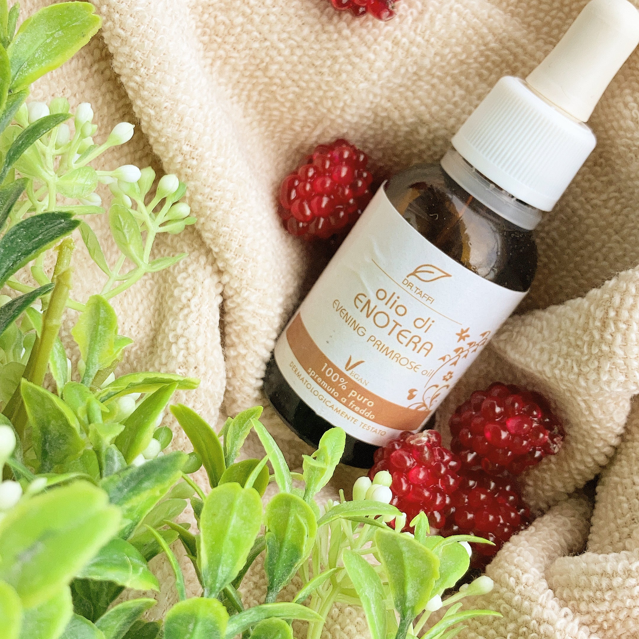 オリ ベジタリ コンポスティ オーガニック イブニングプリムローズオイル 30ml | 月見草オイル