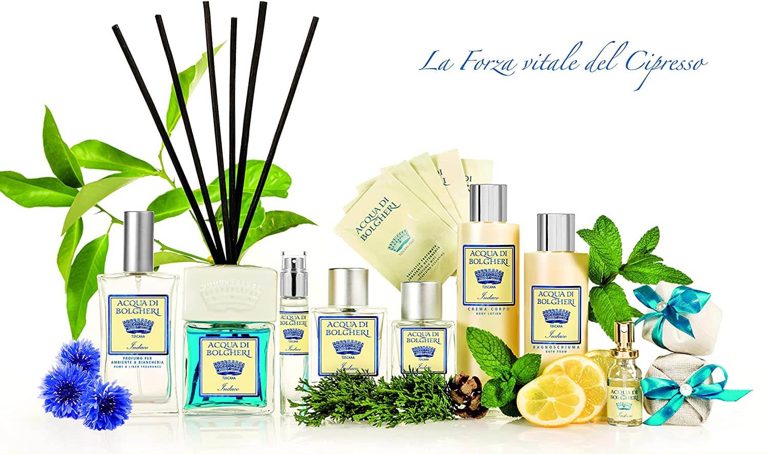 アクアディボルゲリ インディゴ パフューム 【INDIGO】 50ml(アウトレット)