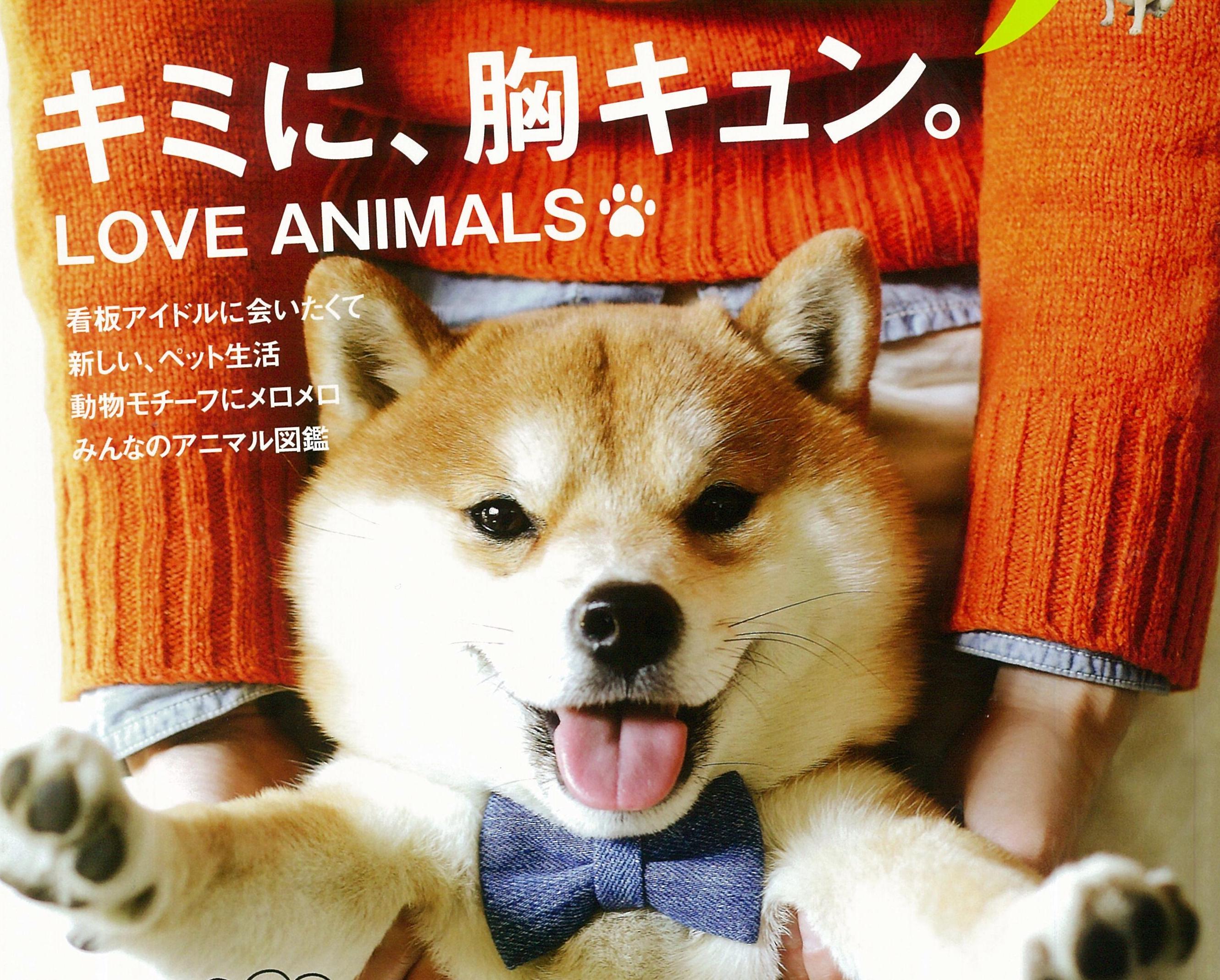 KELLYに掲載されました。