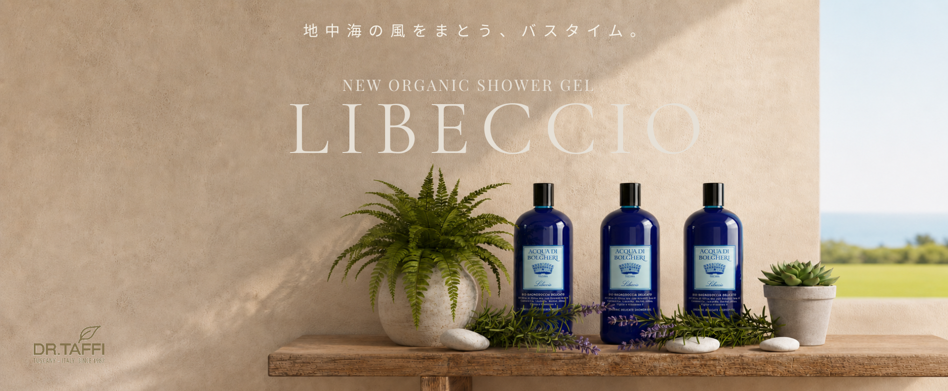 リベッチオからシャワージェルが新登場！（終了しました）