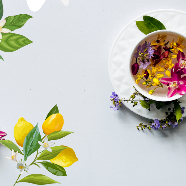 フラックスホワイトティ（LINO TE BIANCO) – DR.TAFFI JAPAN WEB STORE