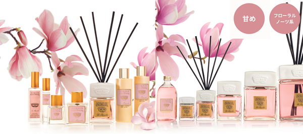 DR.TAFFI JAPAN 公式WEB STORE – DR.TAFFI JAPAN WEB STORE