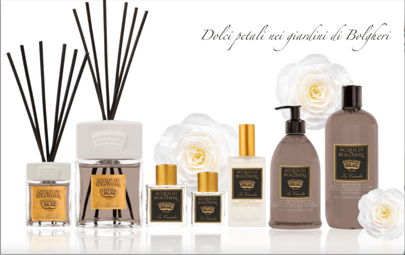 アクアディボルゲリ カメリア パフューム – DR.TAFFI JAPAN WEB STORE アクアディボルゲリ カメリア パフューム – DR.TAFFI JAPAN WEB STORE