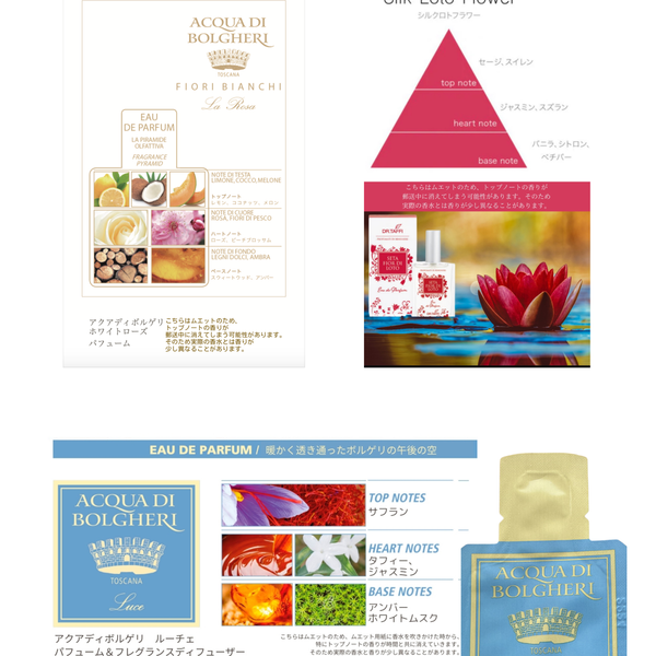 2026 春〜限定ムエットセット（送料無料） – DR.TAFFI JAPAN WEB STORE