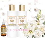 White & Gold - The Exclusive Collection