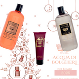 「Xmas 2025 Bセット」最高級ラインアクアディボルゲリで彩る極上のクリスマスギフト