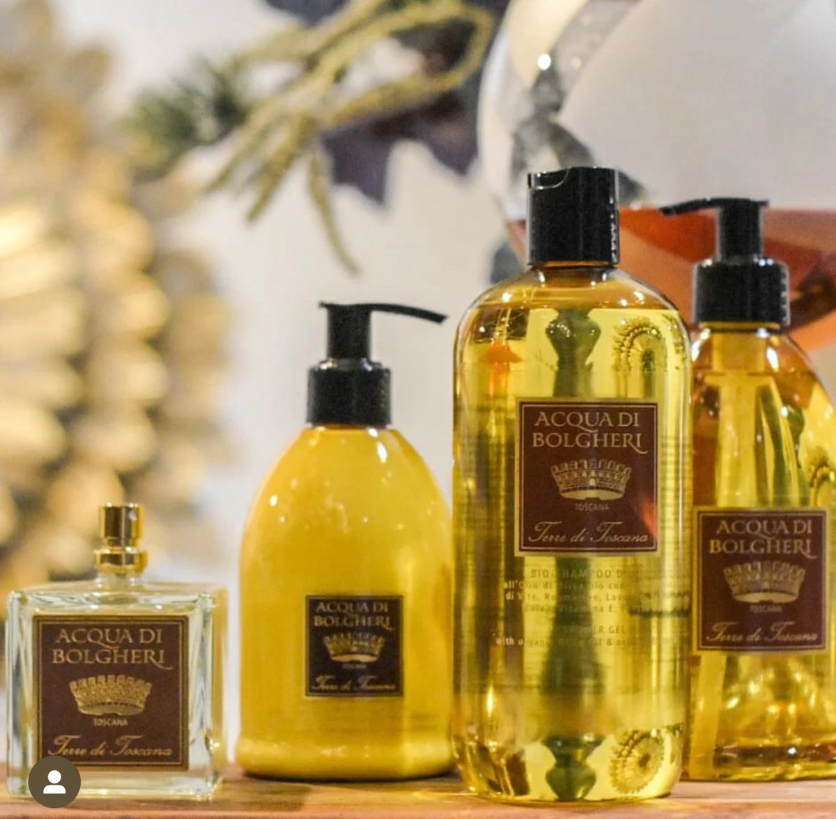 アクアディボルゲリ テーレ ディトスカーナ パフューム【Terre di