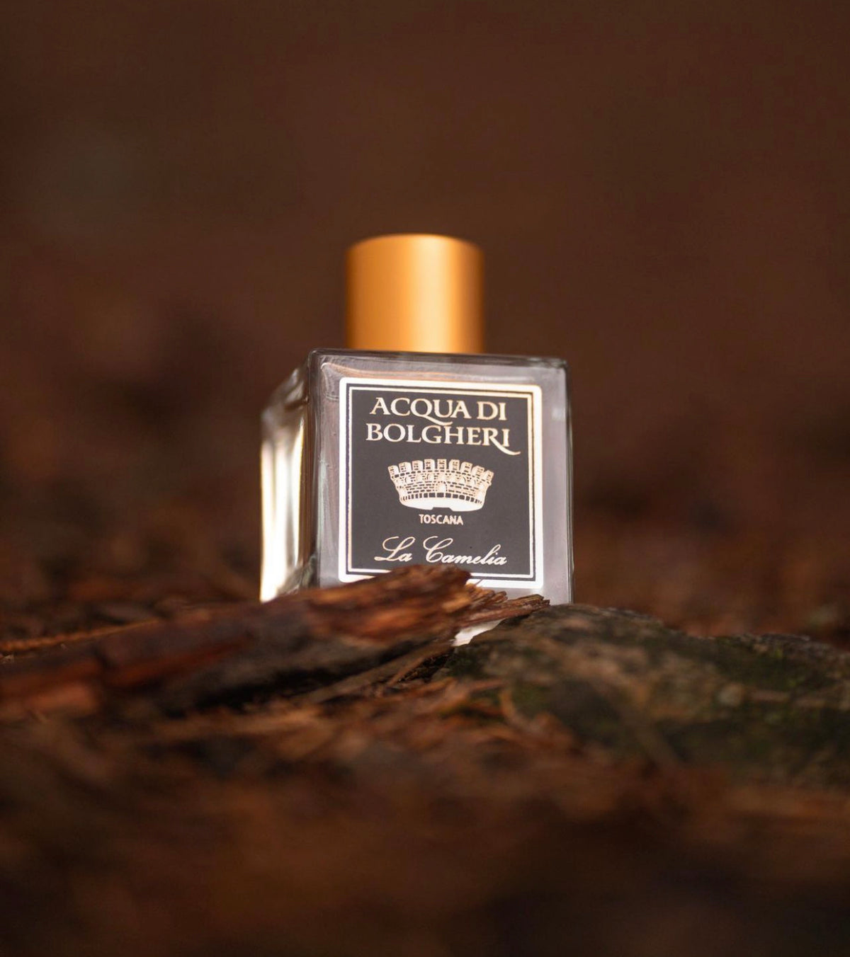 アクアディボルゲリ カメリア パフューム – DR.TAFFI JAPAN WEB STORE