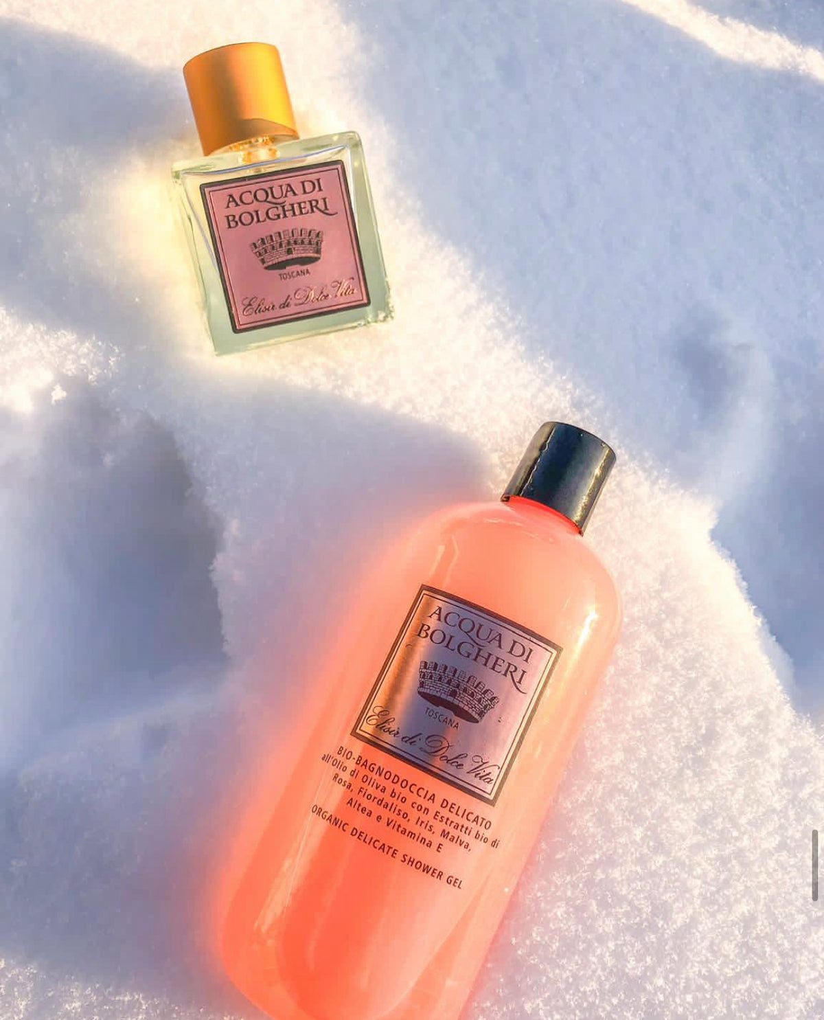 ☆新品廃盤☆ DR.TAFFI アクアディボルゲリ コーラル パフューム