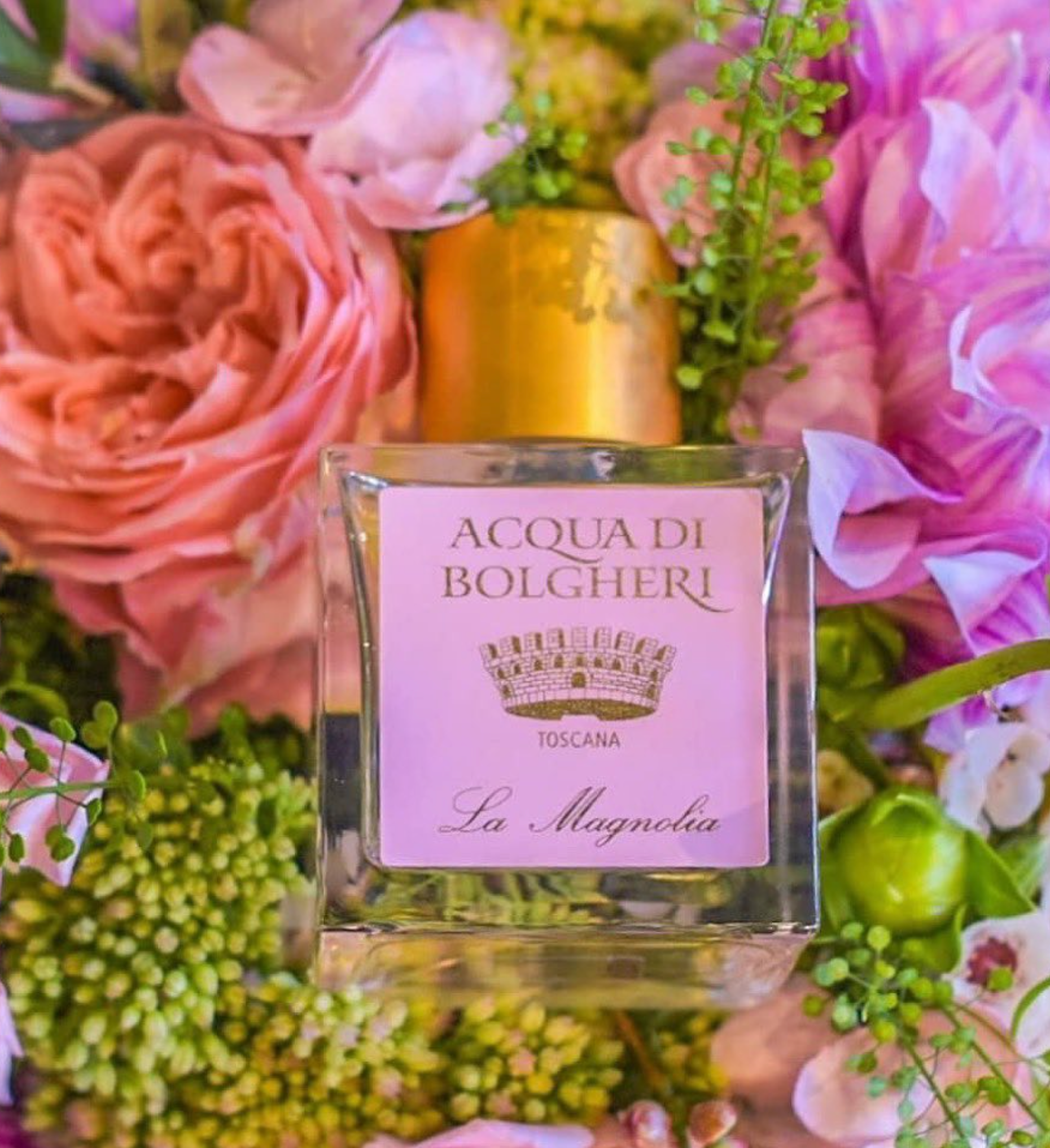 アクアディボルゲリ マグノリア パフューム  50ml（アウトレット）