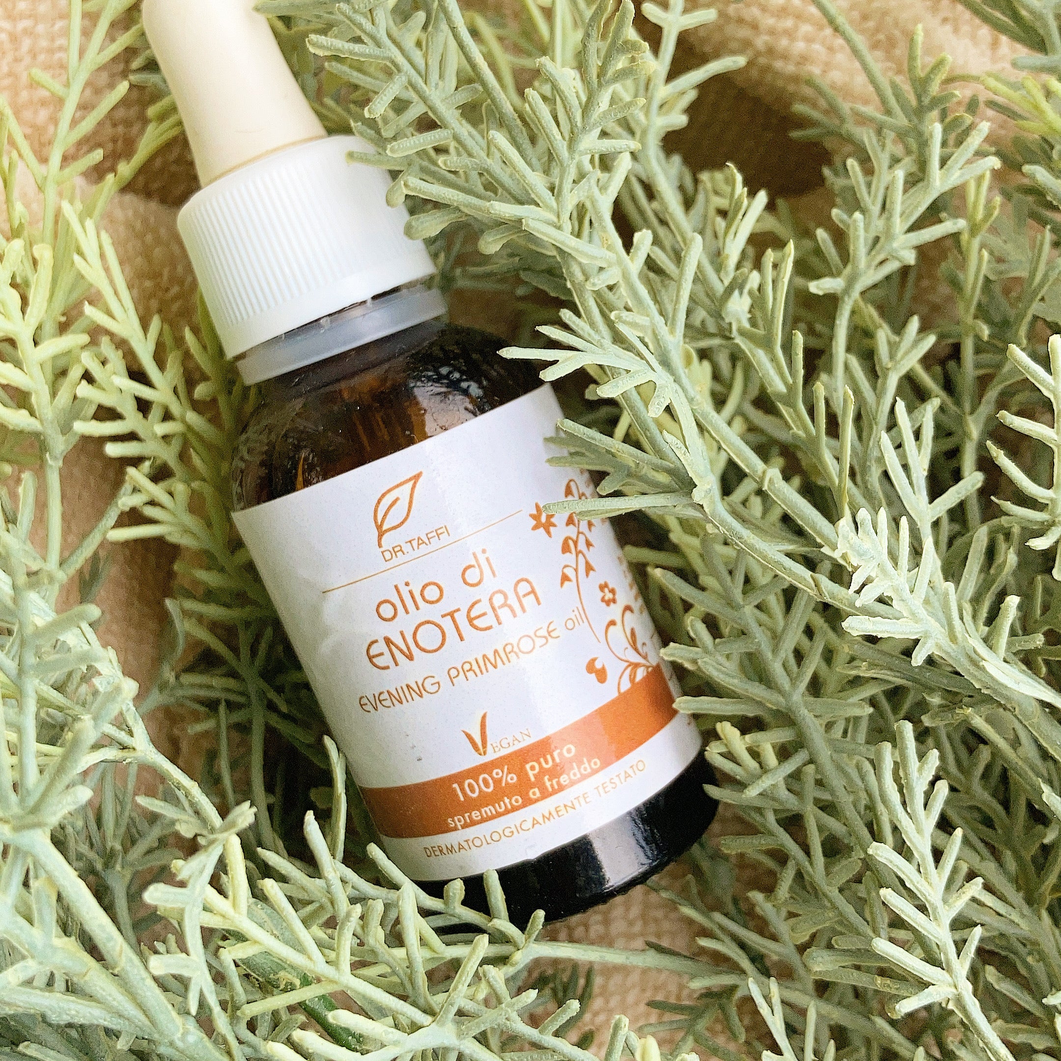 オリ ベジタリ コンポスティ オーガニック イブニングプリムローズオイル 30ml | 月見草オイル