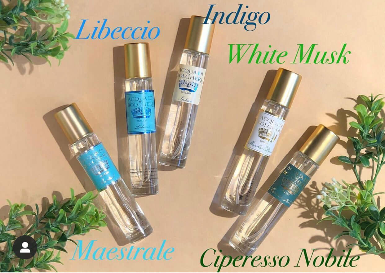 アクアディボルゲリ インディゴ パフューム 【INDIGO】 50ml（アウトレット）