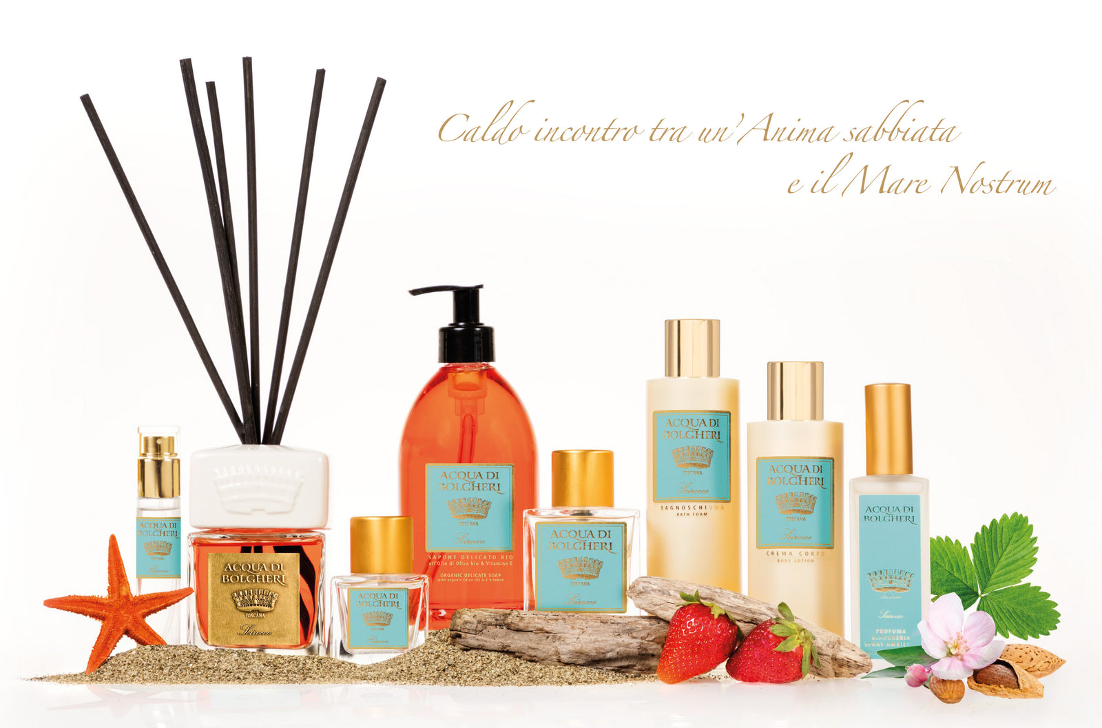 アクアディボルゲリ シロッコ パフューム – DR.TAFFI JAPAN WEB STORE