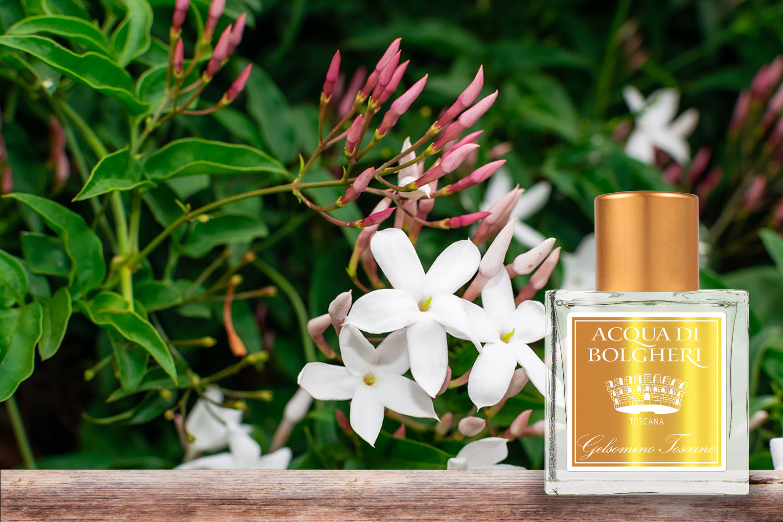 アンドミー ファムファタール 50ml