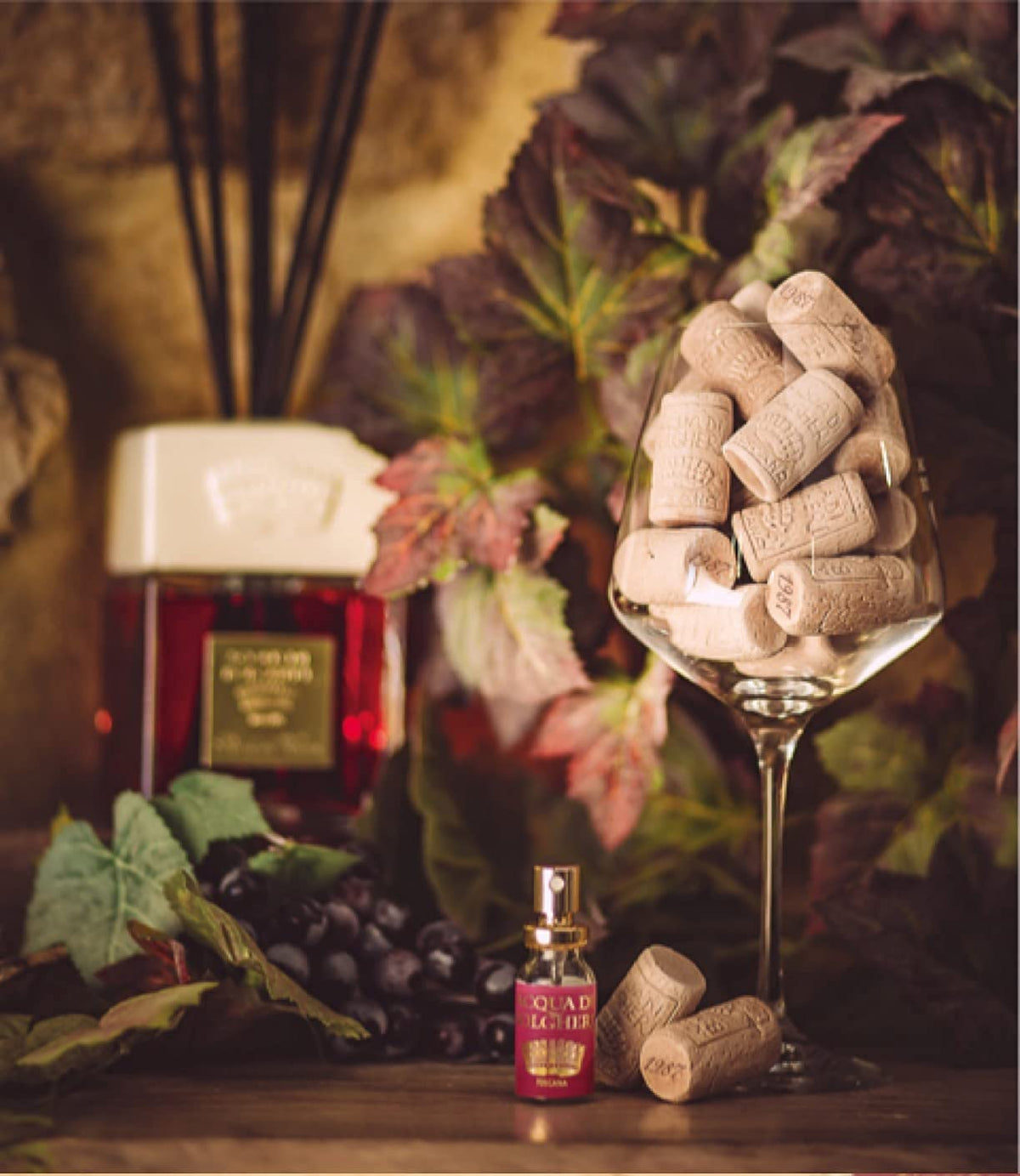 アクアディボルゲリ ワインベリー ディフューザーレフィル 500ml – DR